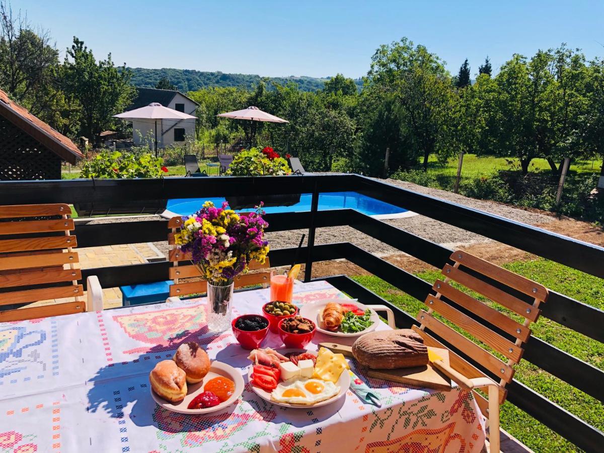 Вілла Fruska Pool House Sremska Kamenica Екстер'єр фото