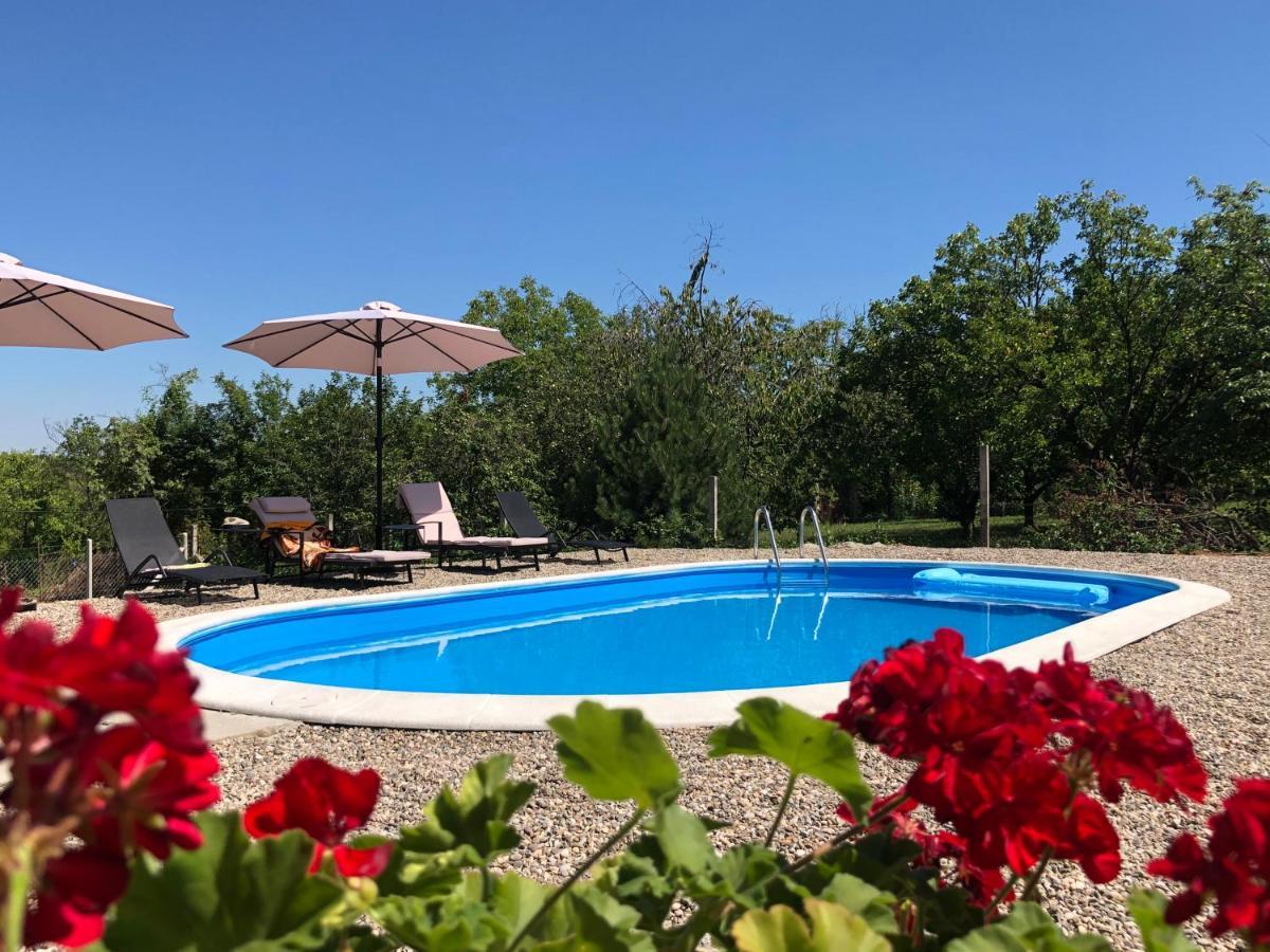 Вілла Fruska Pool House Sremska Kamenica Екстер'єр фото