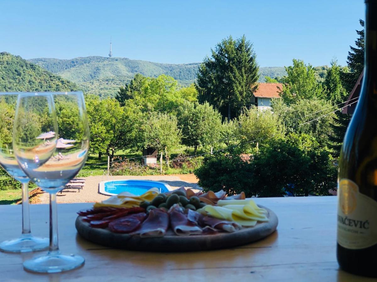 Вілла Fruska Pool House Sremska Kamenica Екстер'єр фото