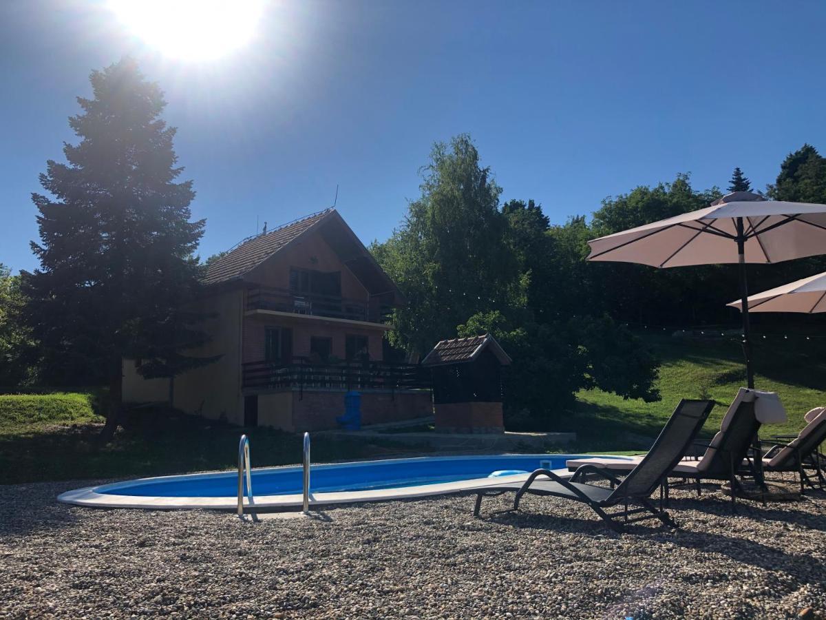 Вілла Fruska Pool House Sremska Kamenica Екстер'єр фото