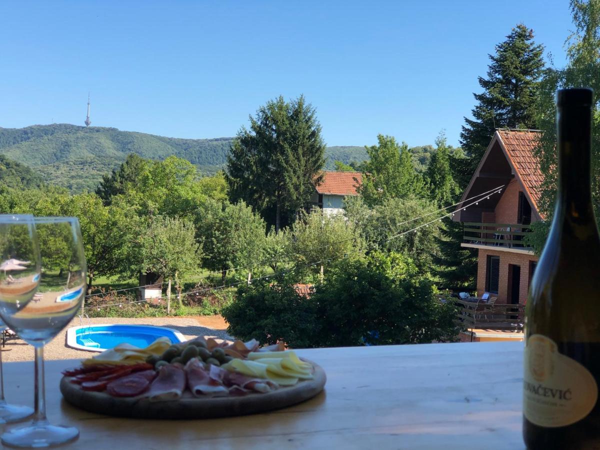 Вілла Fruska Pool House Sremska Kamenica Екстер'єр фото