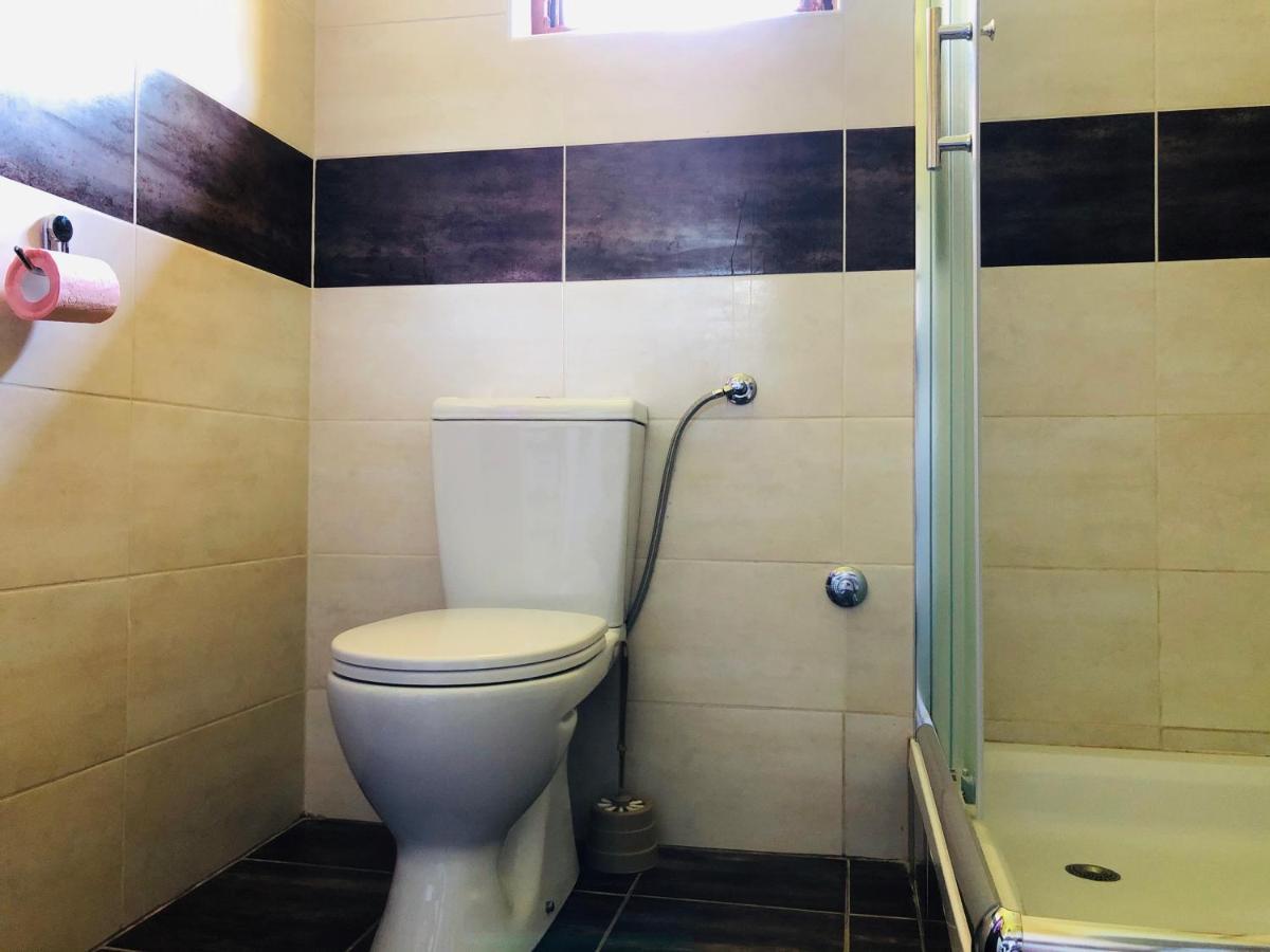 Вілла Fruska Pool House Sremska Kamenica Екстер'єр фото