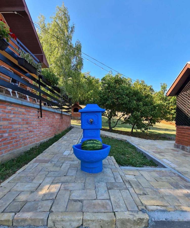Вілла Fruska Pool House Sremska Kamenica Екстер'єр фото