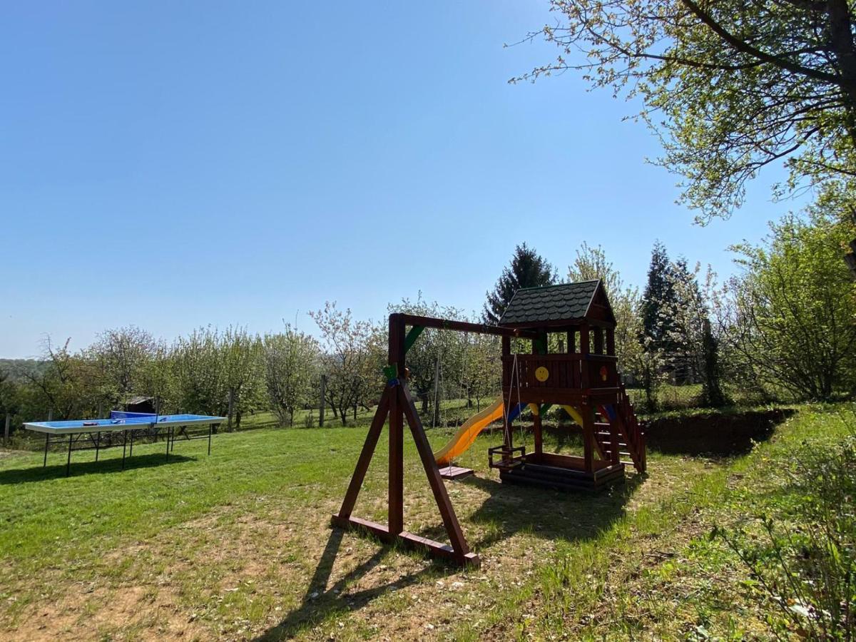 Вілла Fruska Pool House Sremska Kamenica Екстер'єр фото