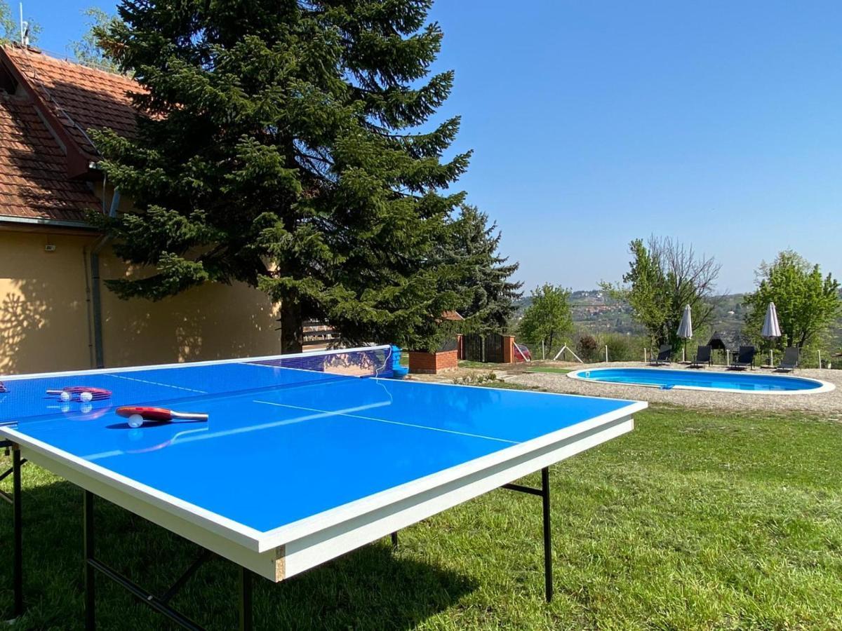 Вілла Fruska Pool House Sremska Kamenica Екстер'єр фото