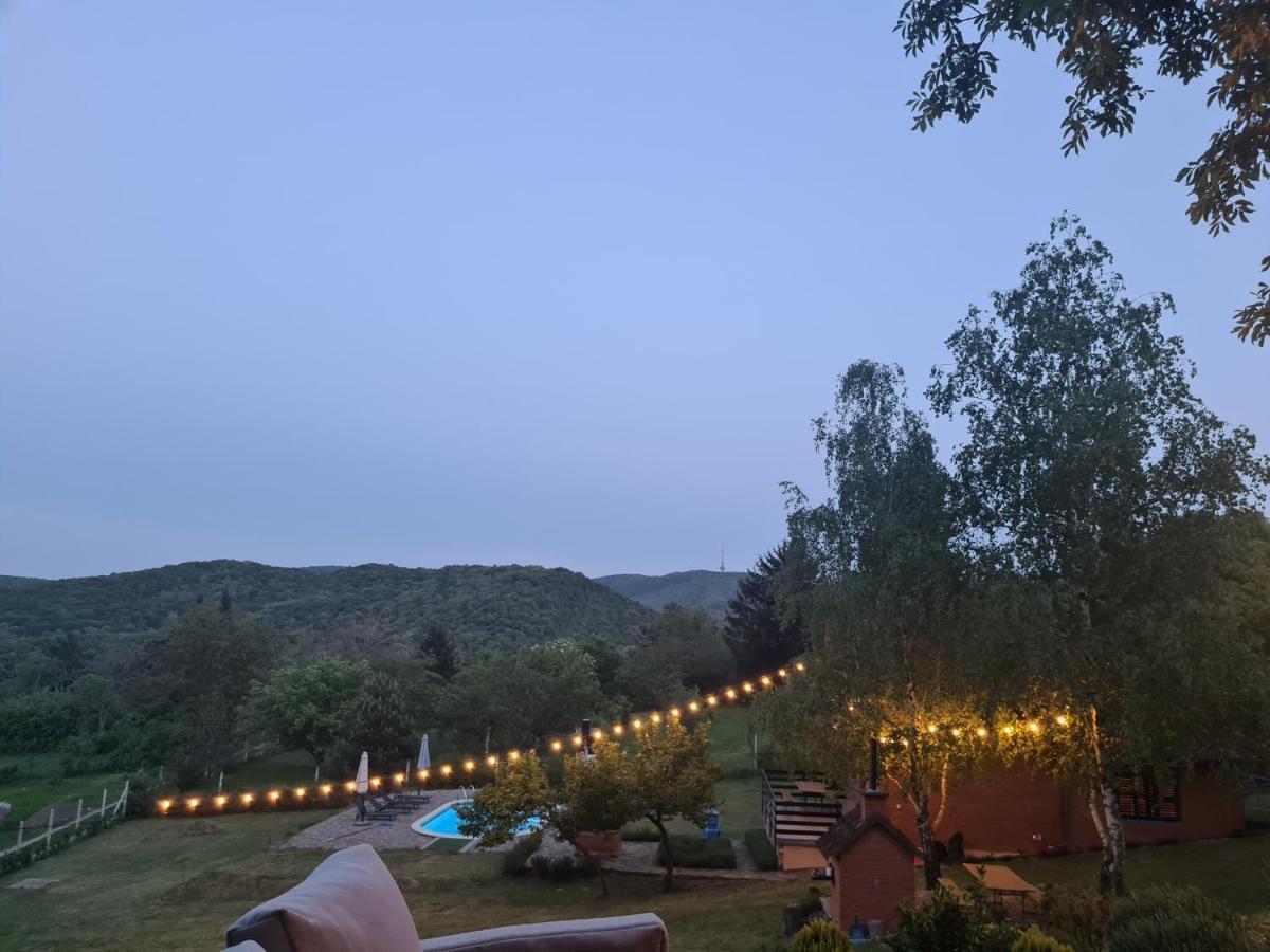 Вілла Fruska Pool House Sremska Kamenica Екстер'єр фото