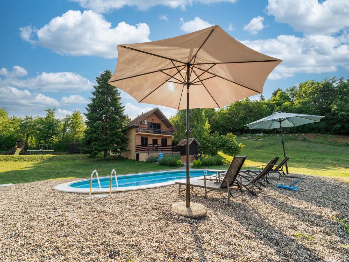 Вілла Fruska Pool House Sremska Kamenica Екстер'єр фото