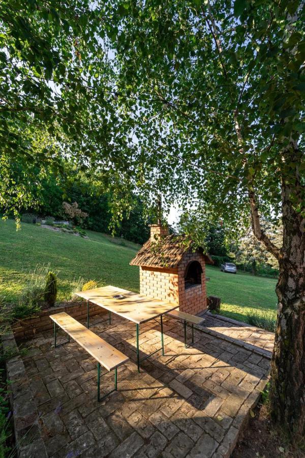 Вілла Fruska Pool House Sremska Kamenica Екстер'єр фото
