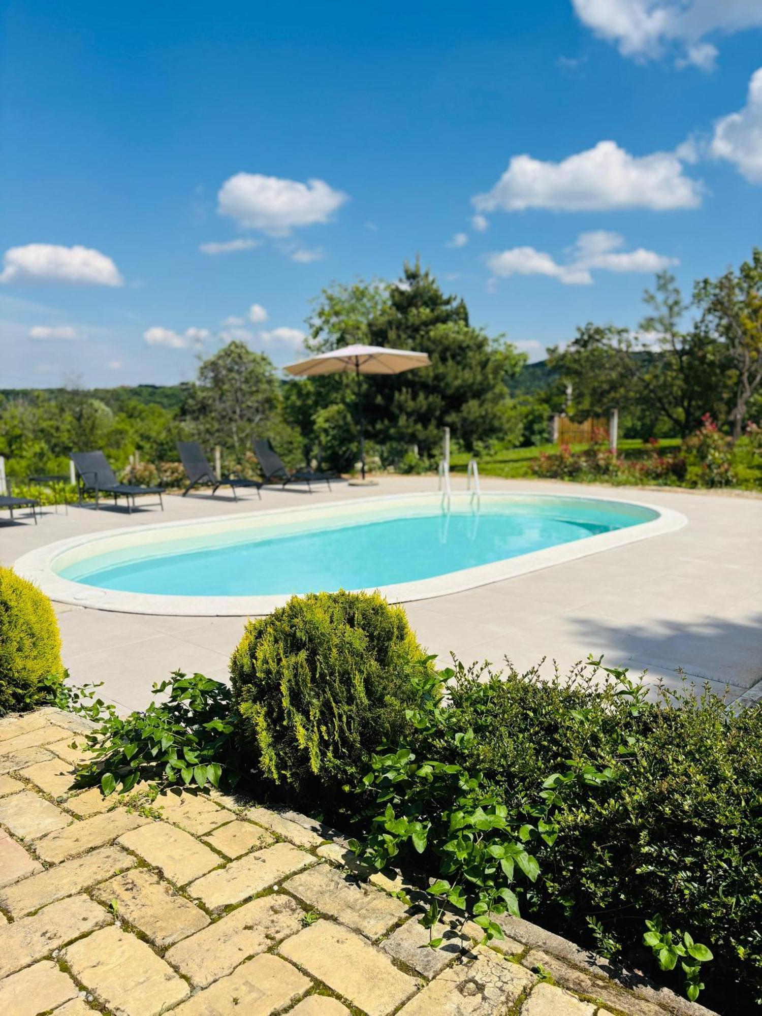 Вілла Fruska Pool House Sremska Kamenica Екстер'єр фото