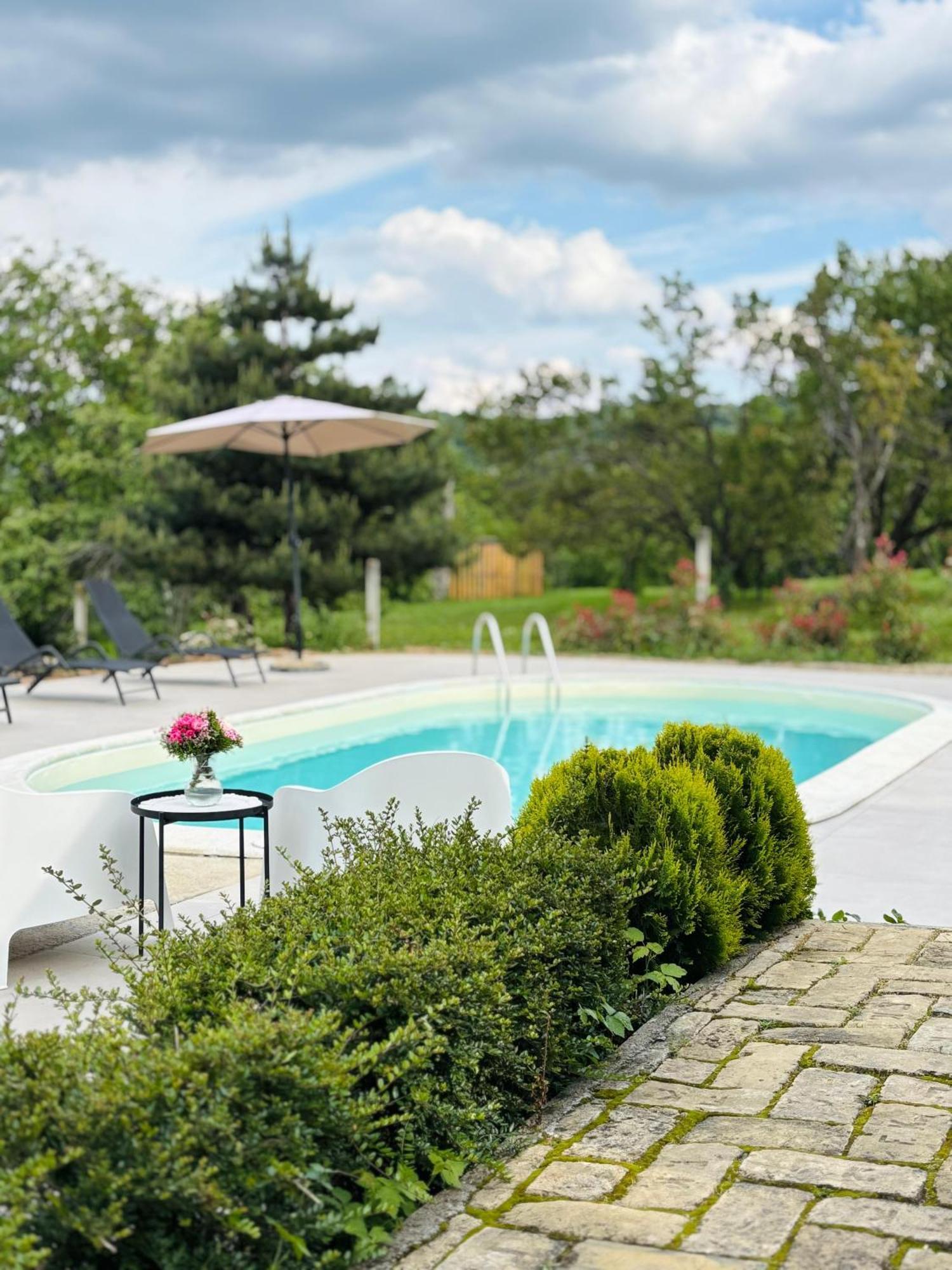 Вілла Fruska Pool House Sremska Kamenica Екстер'єр фото