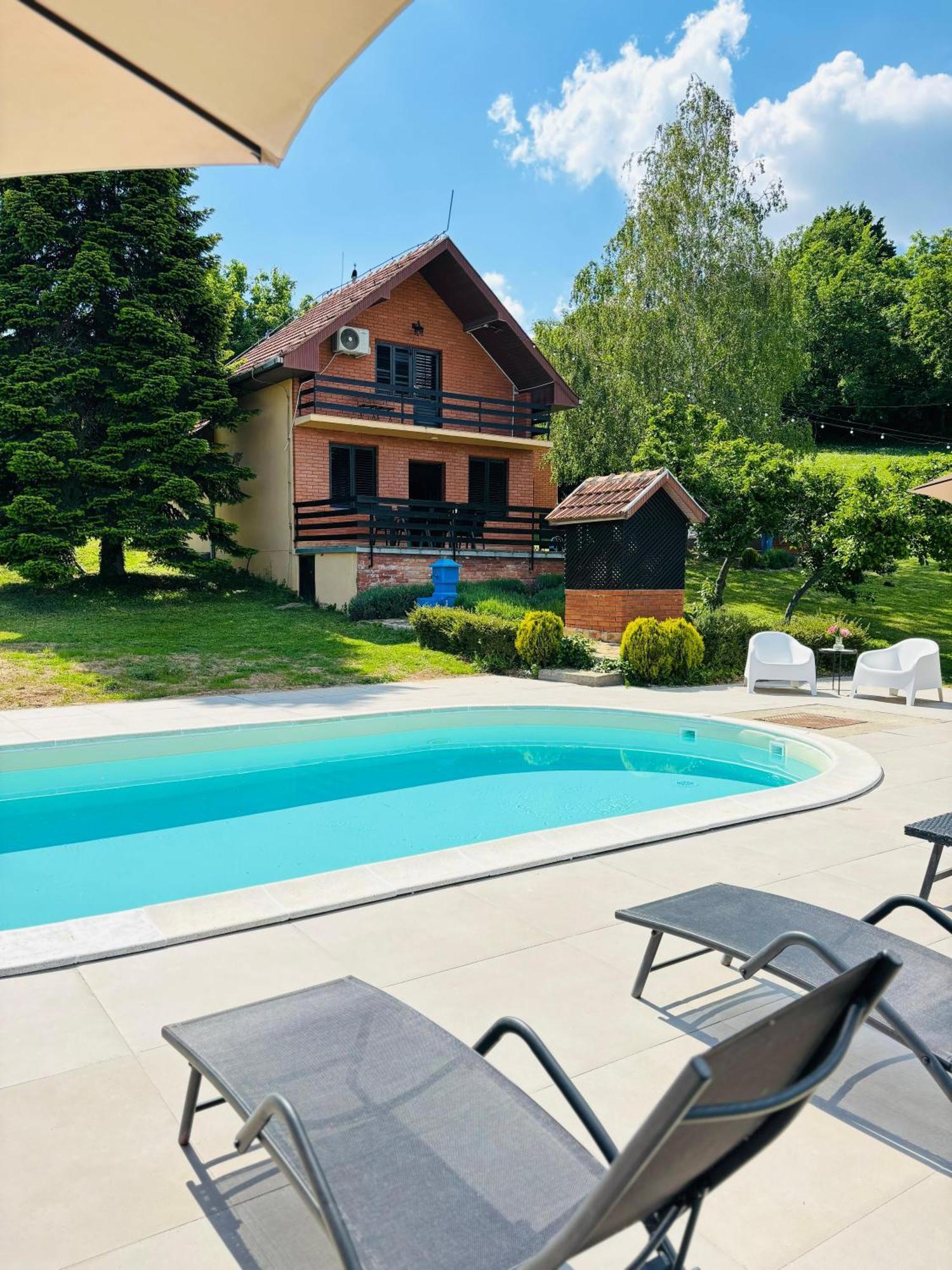 Вілла Fruska Pool House Sremska Kamenica Екстер'єр фото